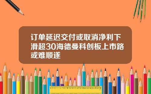 订单延迟交付或取消净利下滑超30海德曼科创板上市路或难顺遂