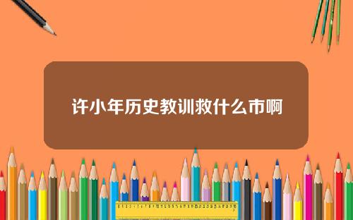 许小年历史教训救什么市啊