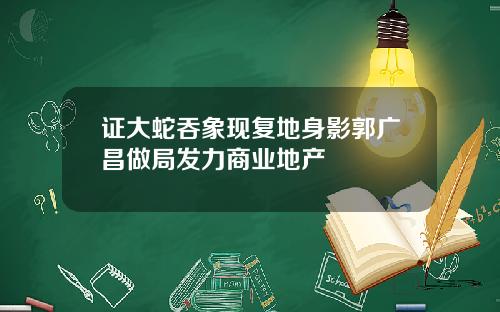 证大蛇吞象现复地身影郭广昌做局发力商业地产