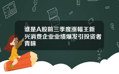 谁是A股前三季度涨幅王新兴消费企业业绩爆发引投资者青睐