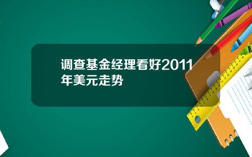 调查基金经理看好2011年美元走势
