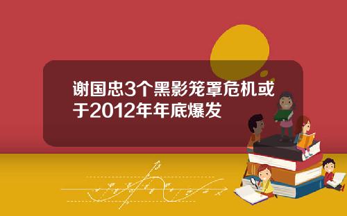 谢国忠3个黑影笼罩危机或于2012年年底爆发