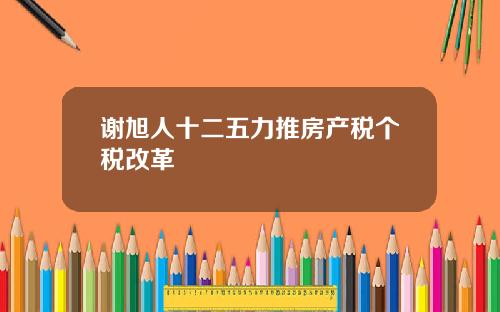 谢旭人十二五力推房产税个税改革