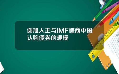 谢旭人正与IMF磋商中国认购债券的规模