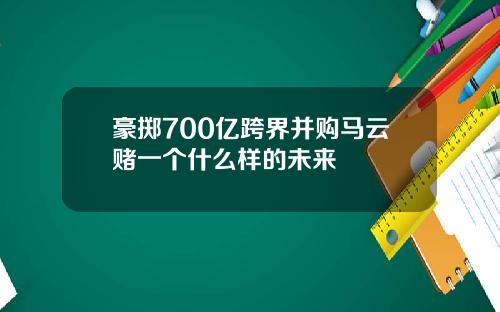 豪掷700亿跨界并购马云赌一个什么样的未来