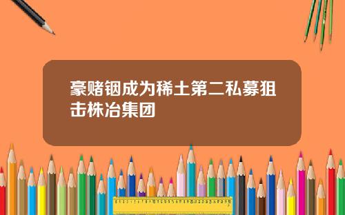 豪赌铟成为稀土第二私募狙击株冶集团