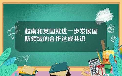 越南和英国就进一步发展国防领域的合作达成共识