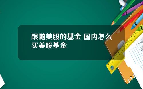 跟随美股的基金 国内怎么买美股基金