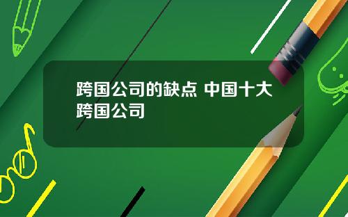 跨国公司的缺点 中国十大跨国公司