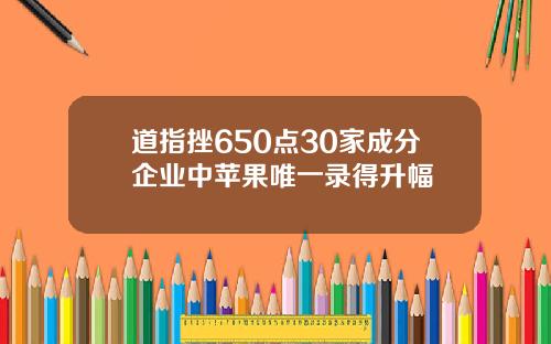 道指挫650点30家成分企业中苹果唯一录得升幅