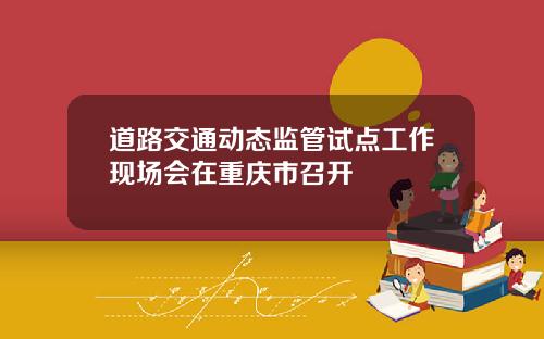 道路交通动态监管试点工作现场会在重庆市召开