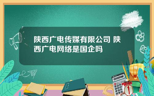 陕西广电传媒有限公司 陕西广电网络是国企吗