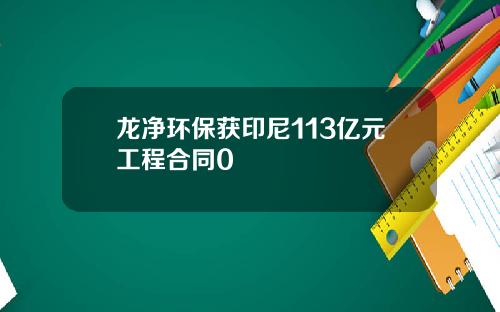 龙净环保获印尼113亿元工程合同0