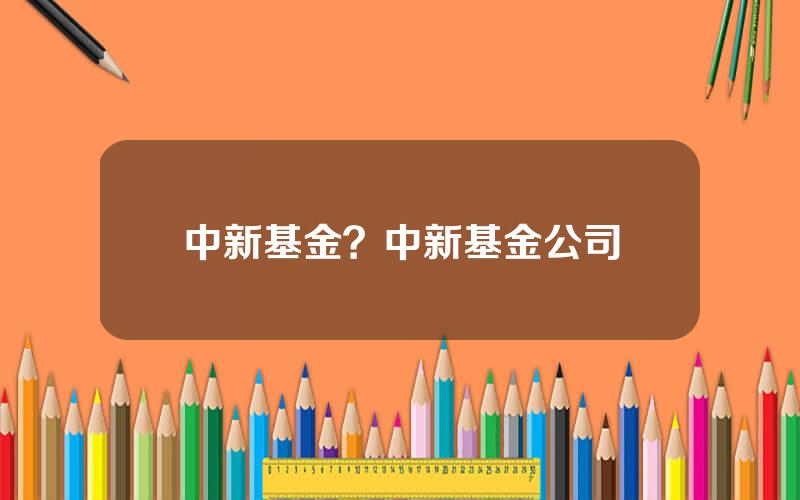 中新基金？中新基金公司