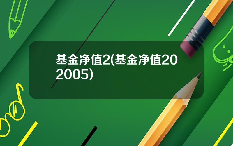 基金净值2(基金净值202005)