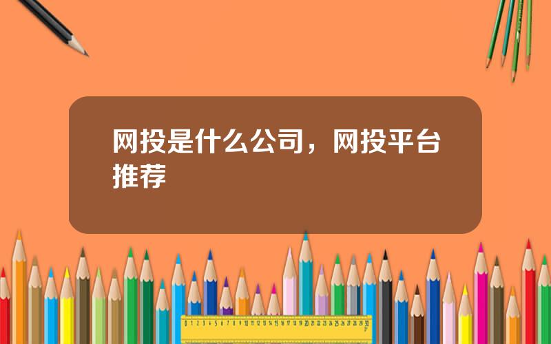 网投是什么公司，网投平台推荐
