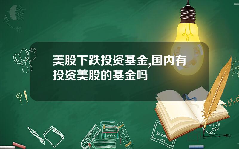 美股下跌投资基金,国内有投资美股的基金吗