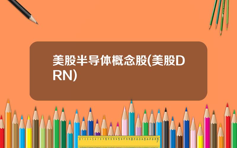 美股半导体概念股(美股DRN)