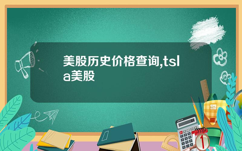 美股历史价格查询,tsla美股