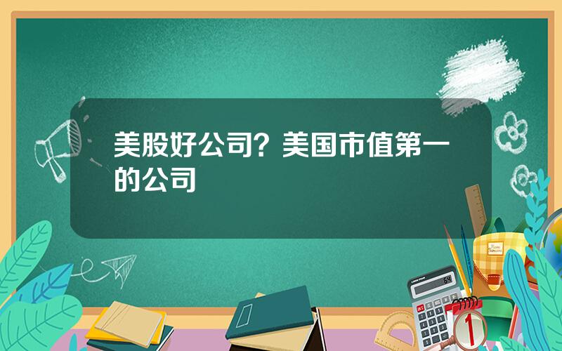 美股好公司？美国市值第一的公司