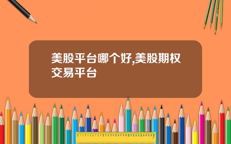 美股平台哪个好,美股期权交易平台