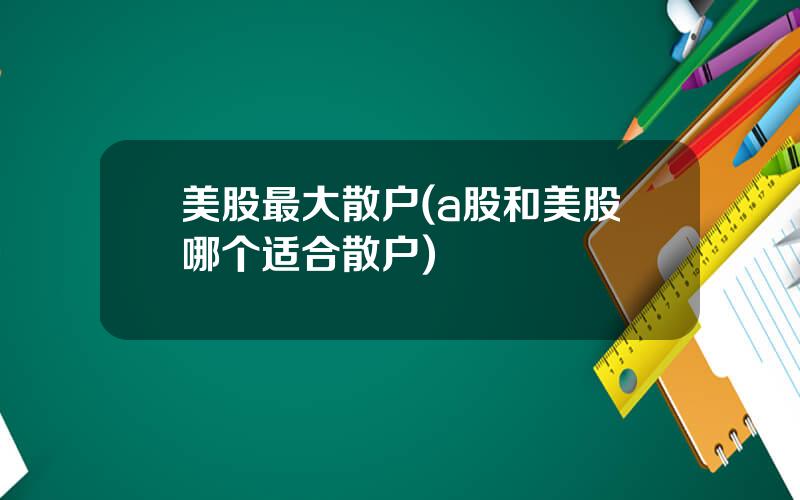 美股最大散户(a股和美股哪个适合散户)