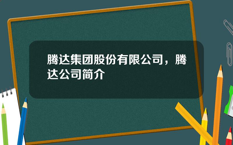 腾达集团股份有限公司，腾达公司简介