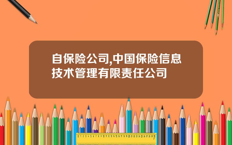 自保险公司,中国保险信息技术管理有限责任公司