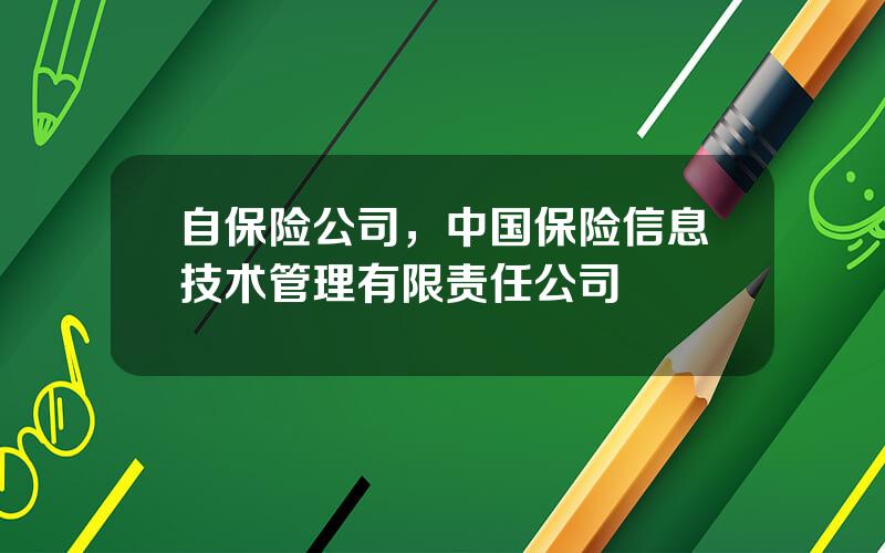 自保险公司，中国保险信息技术管理有限责任公司