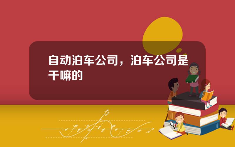 自动泊车公司，泊车公司是干嘛的