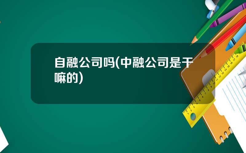 自融公司吗(中融公司是干嘛的)