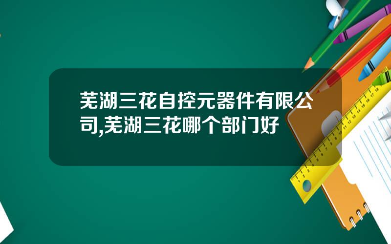 芜湖三花自控元器件有限公司,芜湖三花哪个部门好