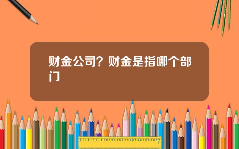财金公司？财金是指哪个部门