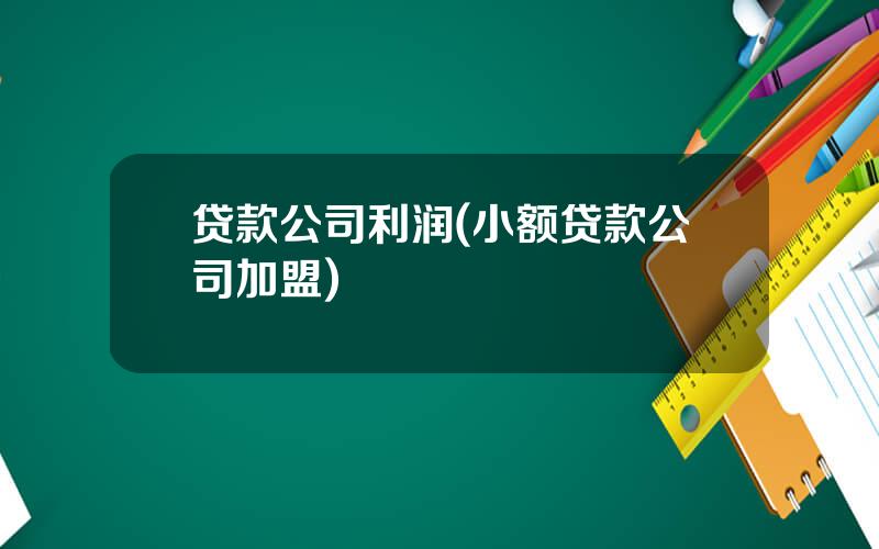 贷款公司利润(小额贷款公司加盟)