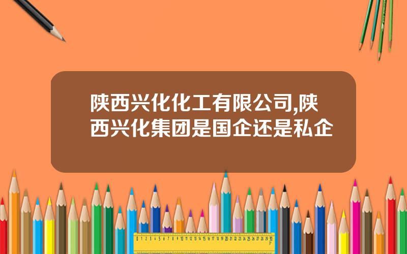 陕西兴化化工有限公司,陕西兴化集团是国企还是私企