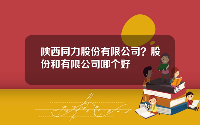 陕西同力股份有限公司？股份和有限公司哪个好