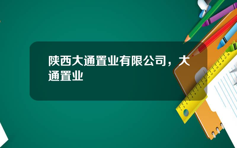 陕西大通置业有限公司，大通置业