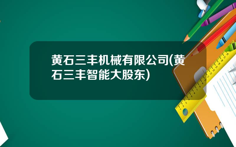 黄石三丰机械有限公司(黄石三丰智能大股东)